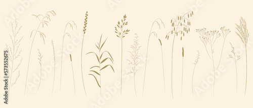 Field and meadow herbs, brown outline, trend sketch for eco design. Sketch of medicinal plants, vector drawing for packaging or textile.