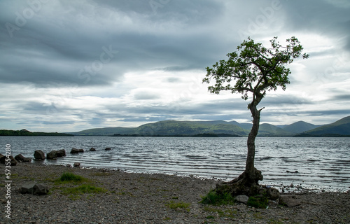 Loan tree on stormy Loch Lomond