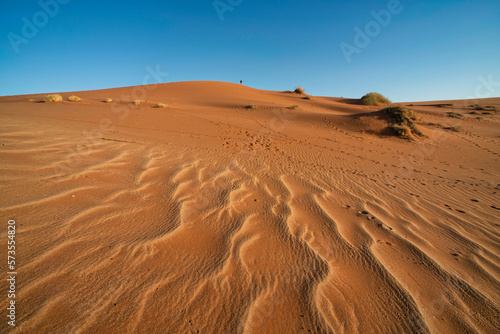 Sand waves on the dunes of Namibia