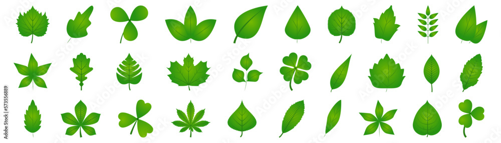 Set of green leaf. Fresh plant leaf collection Set of green leaf. Fresh plant leaf collection