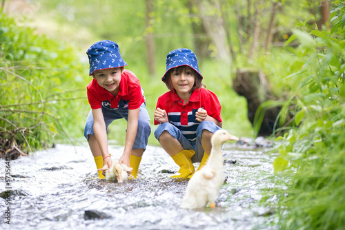 Fototapeta Naklejka Na Ścianę i Meble -  Cute children, boy brothers, playing ducks on a little river
