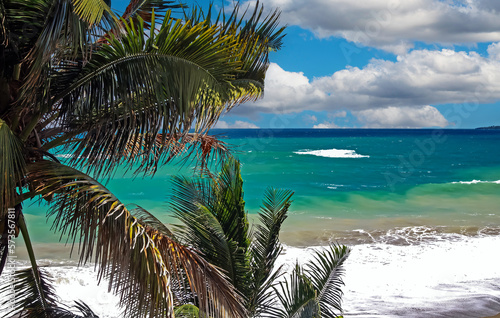 Wild tropical seascape beach, turquoise blue water, strong surf waves, palmt tree leafes - Port Antonio, San San Beach, Jamaica