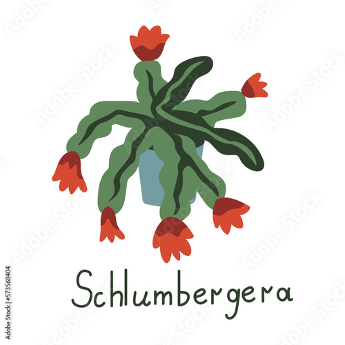 Schlumbergera vector plant