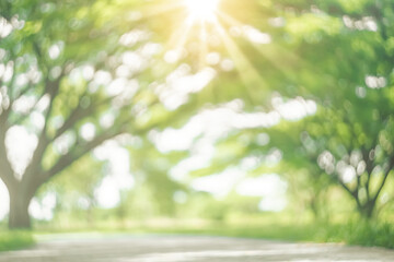 Blur nature green park with sun light abstract background.