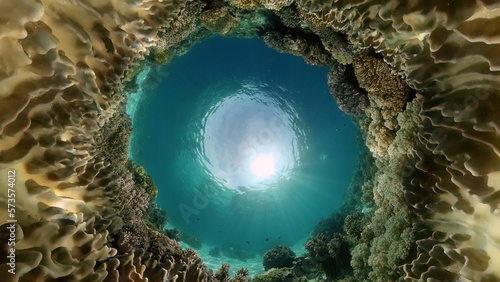 Tropical sea and coral reef. Underwater Fish and Coral Garden. Underwater sea fish. Tropical reef marine. Colourful underwater seascape. Philippines.