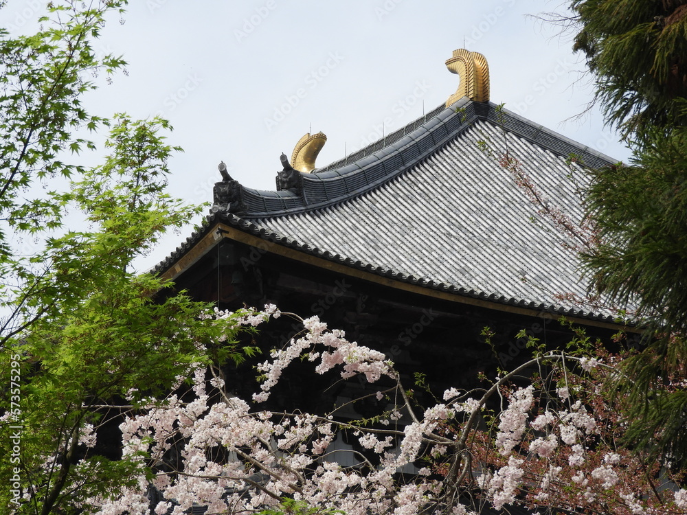 東大寺 Stock Photo Adobe Stock