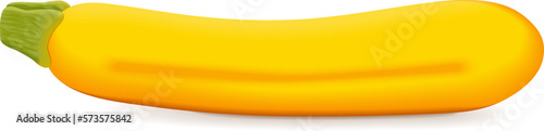 Yellow zucchini or golden zucchini. Courgette or marrow. Summer squash. Cucurbita pepo or cucubits. Fresh, organic, raw fruits and vegetables. Vector illustration isolated on white background.