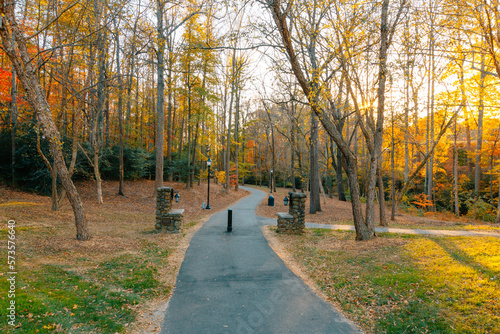 Fall in the park