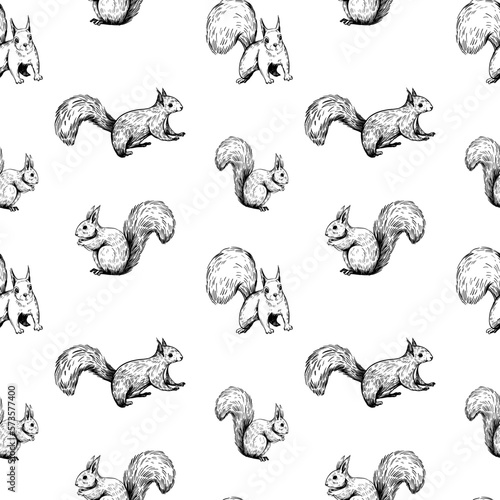 Squirrel illustrations, seamless patten design, hand drawn vector sketch