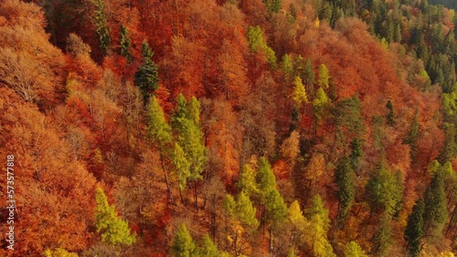 Wallpaper Mural Beautiful aerial landscape with autumn forest in Carpathian mountains, Romania, 4k Torontodigital.ca