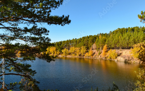 Fototapeta Naklejka Na Ścianę i Meble -  Bright yellow birches and green pines on the shore of a forest lake in autumn