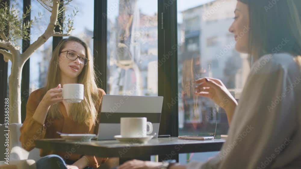 Two young business women in a cafe having one on one meeting. Friends ...