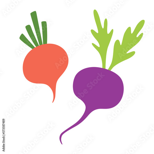 Beet vegetable icon, radish and turnip doodles, vector illustration of healthy local farm vegetables, garden harvest, organic farm market product, isolated colored clipart on white background