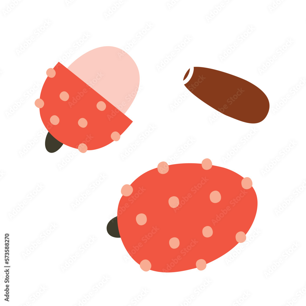 Lychee fruit icons, vector doodle illustration of exotic tropical fruit, litchi or lichi, healthy eating concept, diet product, sweet dessert, isolated colored clipart on white background Lychee fruit icons, vector doodle illustration of exotic tropical fruit, litchi or lichi, healthy eating concept, diet product, sweet dessert, isolated colored clipart on white background