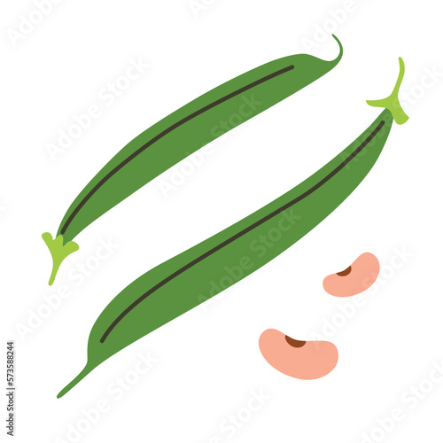 Green beans icon, vector illustration of healthy vegetable, doodle beans, healthy diet food, cooking ingredient, farm market product, isolated colored clipart on white background