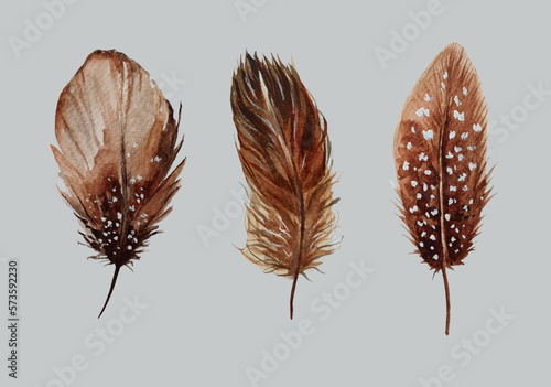 Watercolor boho set of brown bird feathers. Natural and ethnic elements bird feathers collection.