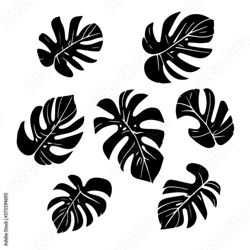 Set of black Monstera plant leaves  Vector. black tropical leaves on a white background. Icons with tropical palm leaves  monstera. Beautiful hand drawn exotic plants