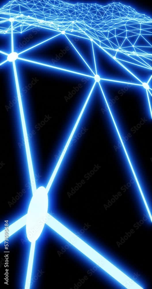 Polygonal network based on plexus-like connected triangles in three ...