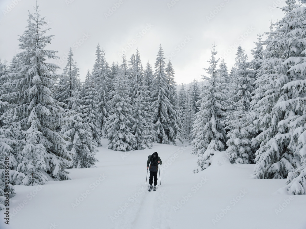 Ski touring skier in winter mountains forest scenery
