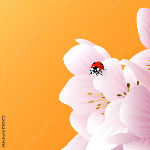 A ladybug sits on the delicate white-pink flowers of an apple tree, a peach. Spring bright postcard with an orange background and copy space