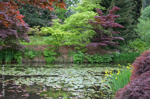 Fototapeta Naklejka Na Ścianę i Meble -  Lush garden pond