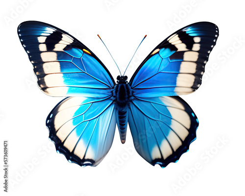 Obraz na płótnie Very beautiful blue white butterfly with spread wings isolated on a transparent background. w salonie