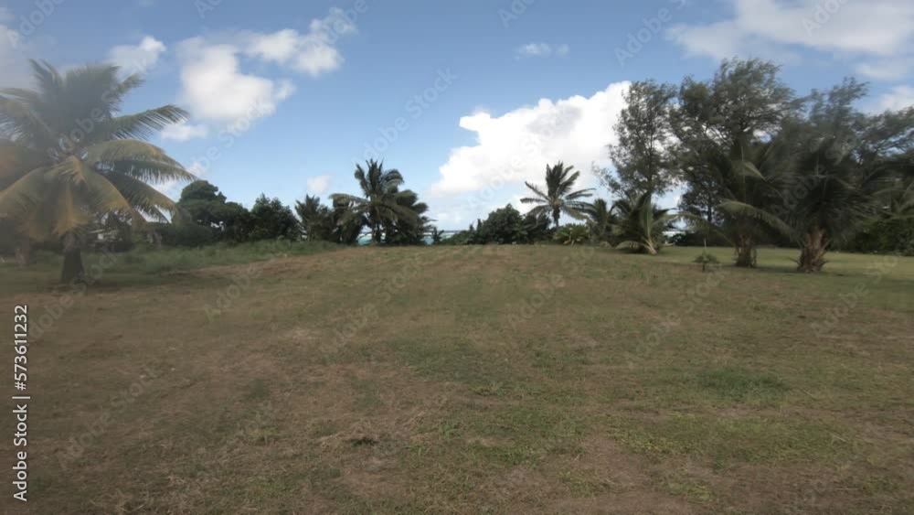moving forward walking view from a well maintained trimmed grassland with coconuts trees and vegetation bushes towards beach side of turquoise blue beautiful lagoon in a good weather with blue sky moving forward walking view from a well maintained trimmed grassland with coconuts trees and vegetation bushes towards beach side of turquoise blue beautiful lagoon in a good weather with blue sky