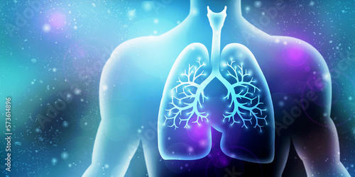Healthy Human Lungs 2d illustration

