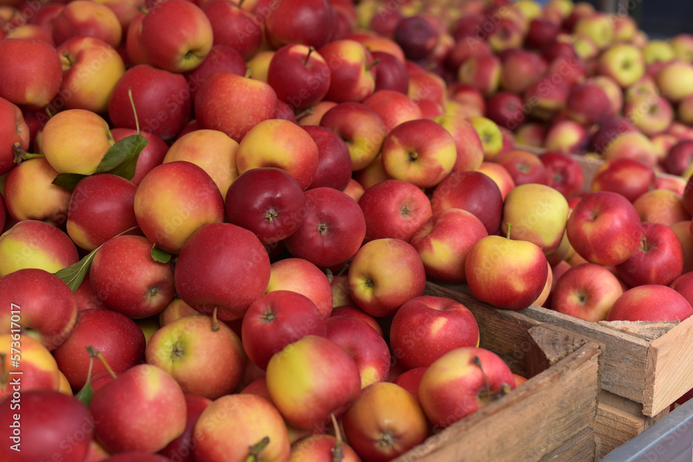 Lots of red apples. Apples background Lots of red apples. Apples background