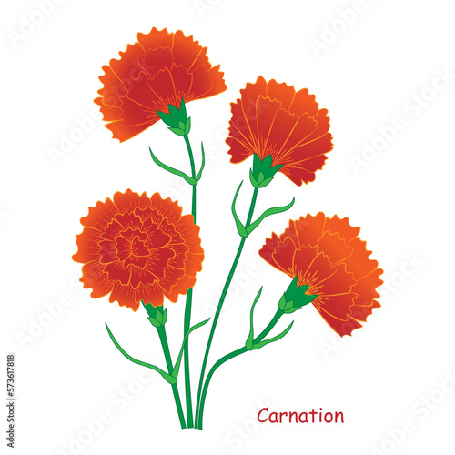 Fototapeta Naklejka Na Ścianę i Meble -  Red carnation flowers isolated on a white background. EPS 10 file is arranged in groups and layers for easy editing. Gradients used. No clipping mask. White background on a separate layer.