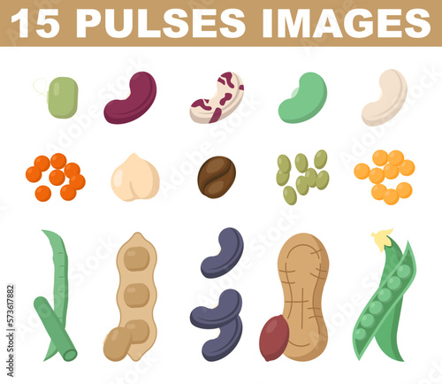 Pulses or legumes colored images. Natural organic beans. Vegetarian