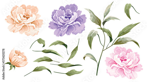Vector set floral bouquet design garden flower rose, peony. Natural branches, green leaves, herbs. Vector elegant cute rustic greeting, Invitation, wedding, communion, postcard 