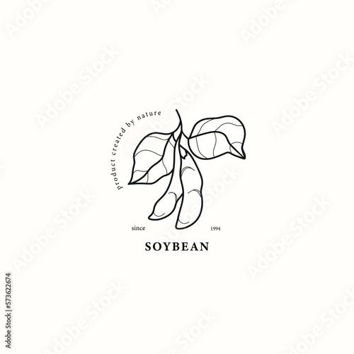 Line art soybean branch illustration