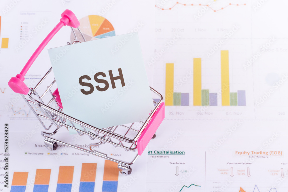 SSH text on paper in shopping trolley on chart background. Business SSH text on paper in shopping trolley on chart background. Business
