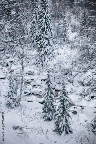 Beauty winter landscape wit...