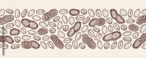 Vector horizontal peanuts banner with hand-drawn peanut seeds and shells