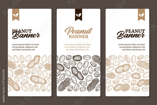 Peanut vertical banner design concept with hand-drawn peanut seeds and shells illustrations