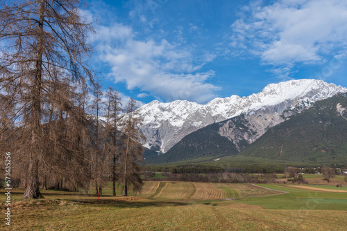 Lärchenwiese mit Blick auf Wetterstein Gebirge in Mieming, Tirol