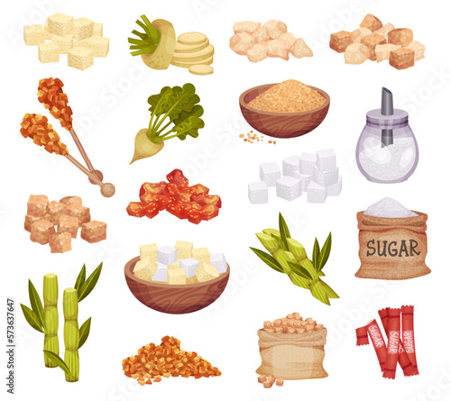 White and Brown Sugar with Sugarcane and Beet Big Vector Set
