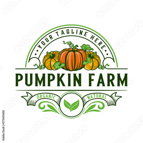 pumpkin vector logo. pumpkin fruit illustration, organic vegetables pumpkin farm design