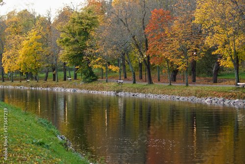 autumn in the park photo