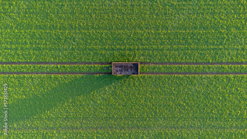 Hänger von einem Traktor steht auf einem grünen Feld mit Spuren von oben Top down, Hintergrund, Vogelsicht