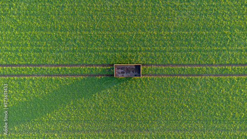 Hänger von einem Traktor steht auf einem grünen Feld mit Spuren von oben Top down, Hintergrund, Vogelsicht