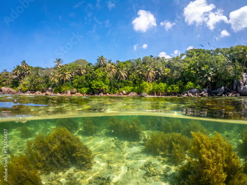 Split underwater view of Anse Royale shoreline