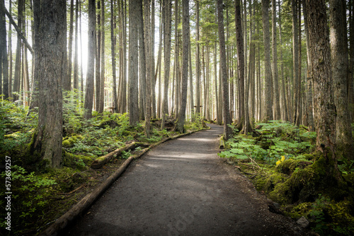 A trail leading through the Tongass National Rainforest at Icy Strait Point near Hoona, Alaska.