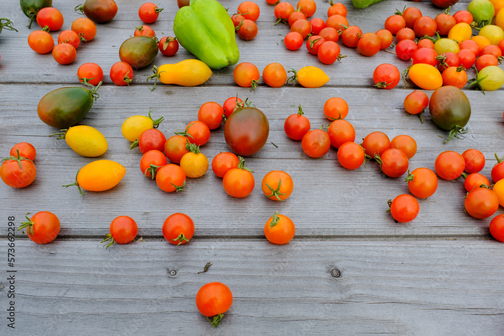 Ripe tomatoes with green pepper are scattered on a wooden table for publication, design, poster, calendar, post, screensaver, wallpaper, postcard, banner, cover, website. High quality photo Ripe tomatoes with green pepper are scattered on a wooden table for publication, design, poster, calendar, post, screensaver, wallpaper, postcard, banner, cover, website. High quality photo