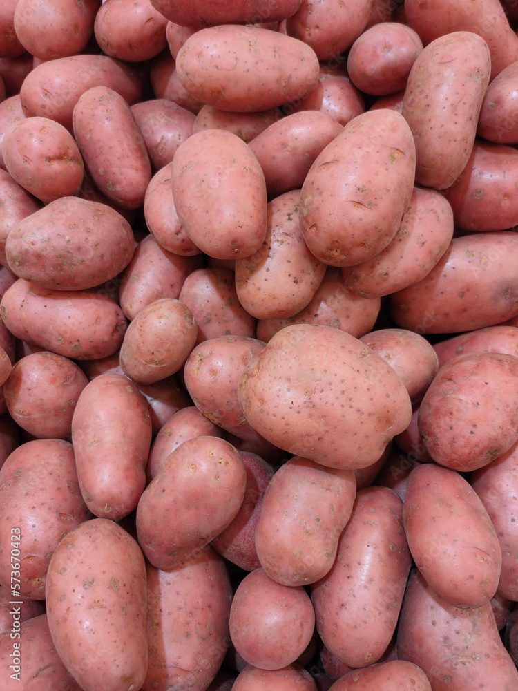 pink washed potatoes close-up on the counter of the vegetable market pink washed potatoes close-up on the counter of the vegetable market