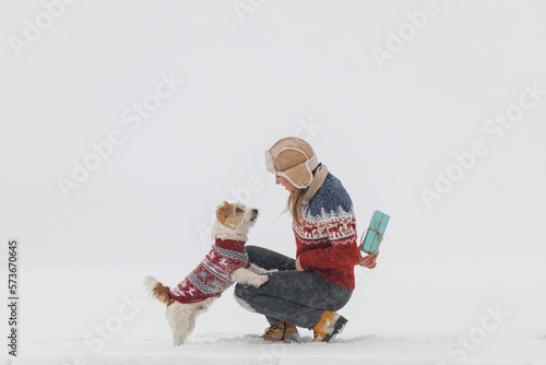 A girl in a sweater gives a Jack Russell Terrier a gift on a white background during a blizzard. Christmas concept