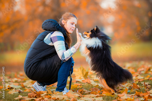 Foto young woman training her tricolor sheltie dog new tricks in the park with a posi
