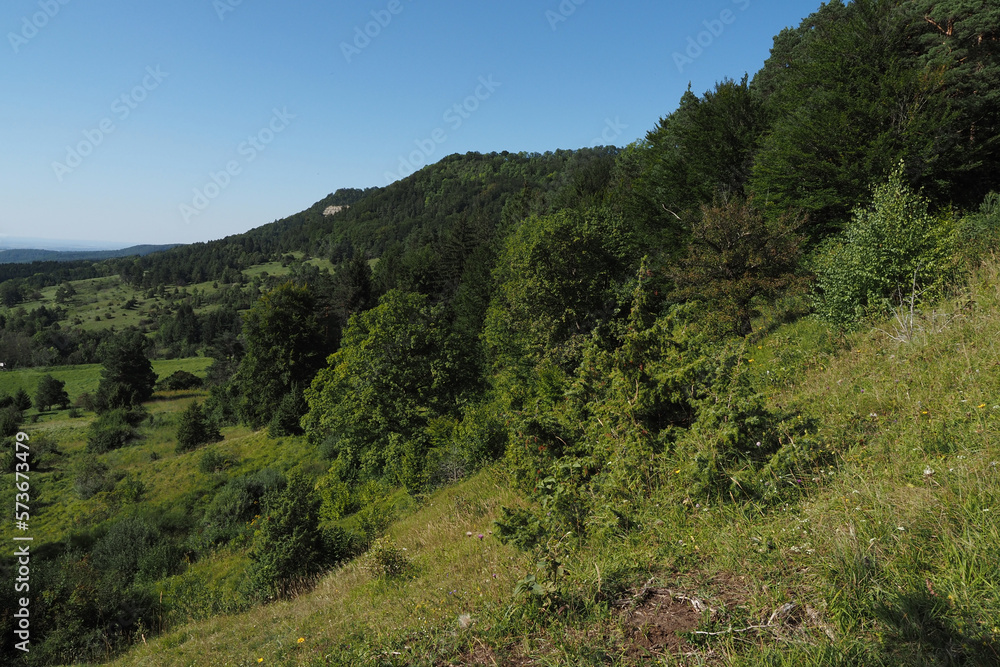 Wacholderheide im Naturschutzgebiet Bürgle, Schwäbische Alb